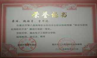 移動互聯(lián)網(wǎng)技術專業(yè)的核心價值 技術服務驅(qū)動數(shù)字未來